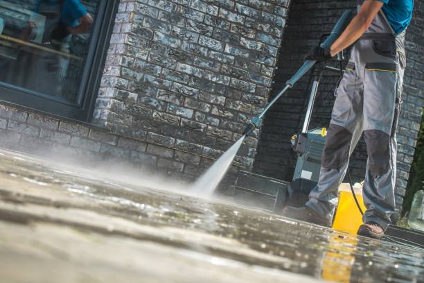 Best Boat and Dock Cleaning  in Mked Tree, AR