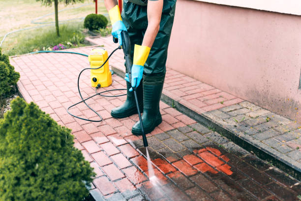 Best Animal Enclosure Cleaning  in Mked Tree, AR